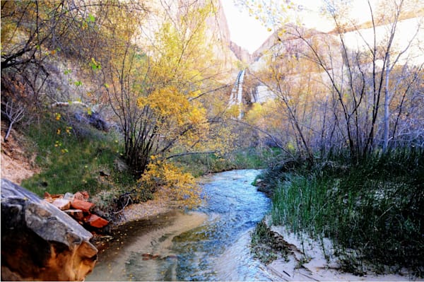 Landscapes