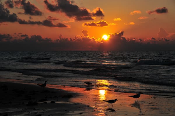 Beach and Ocean Scenes