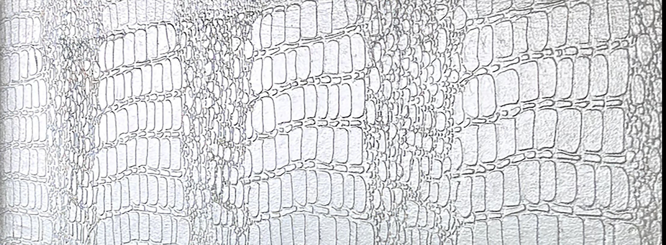 
        <div class='title'>
          Croc 3 copy
        </div>
       