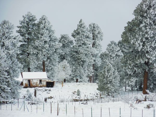 Winter is Here