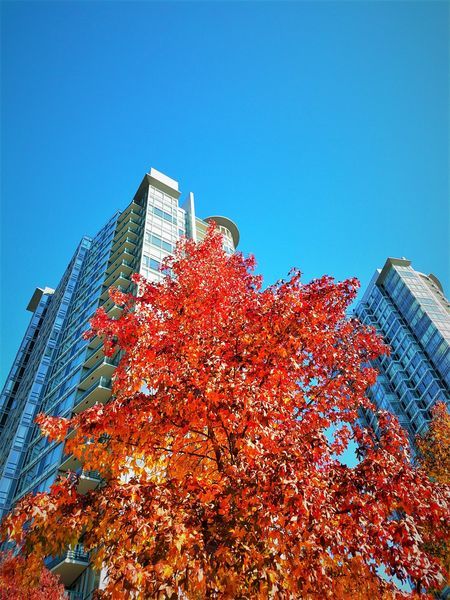 Vancouver Collection