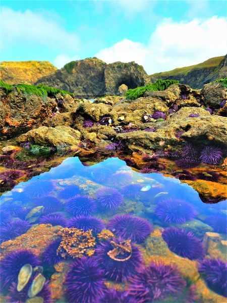 Seascapes