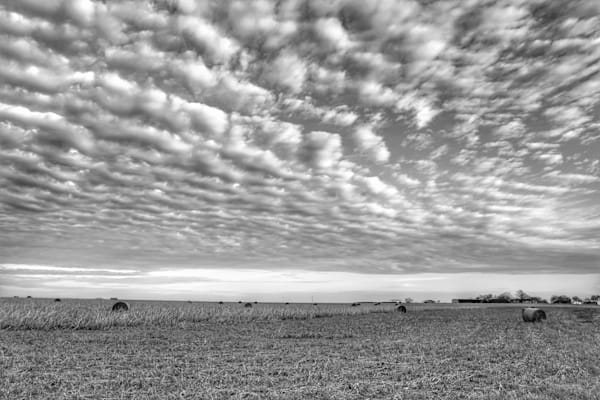 American Farmland - Texas