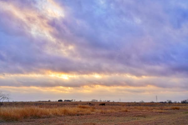 Pastel Sky