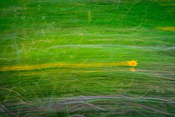 Abstracts