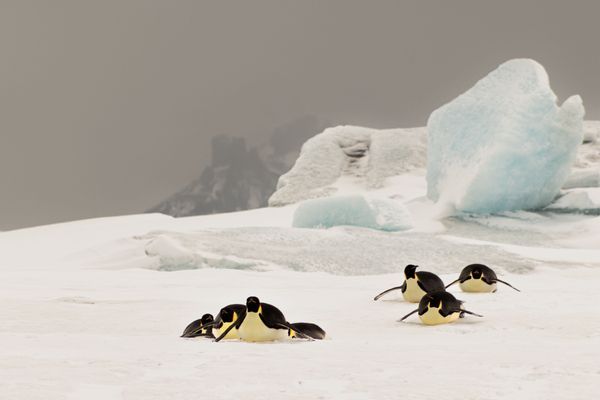 Arctic Regions