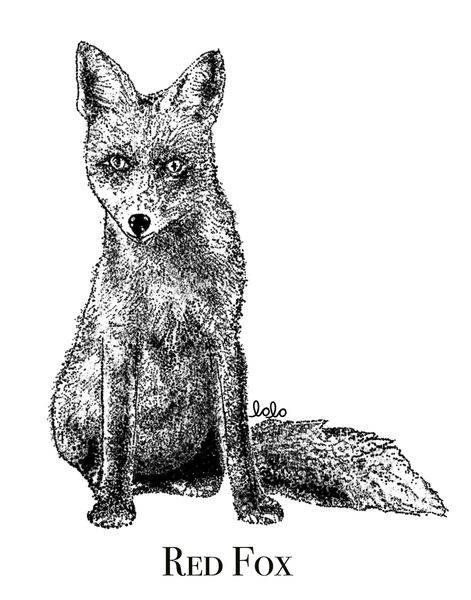 Idaho Fauna