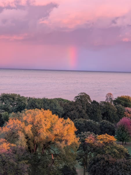 Nature