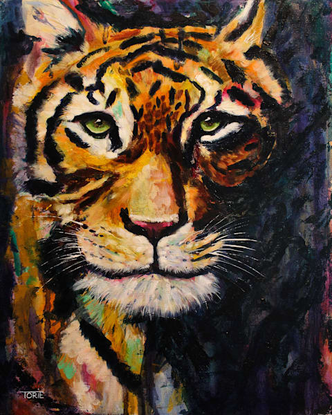 Bold and Beautiful Creatures