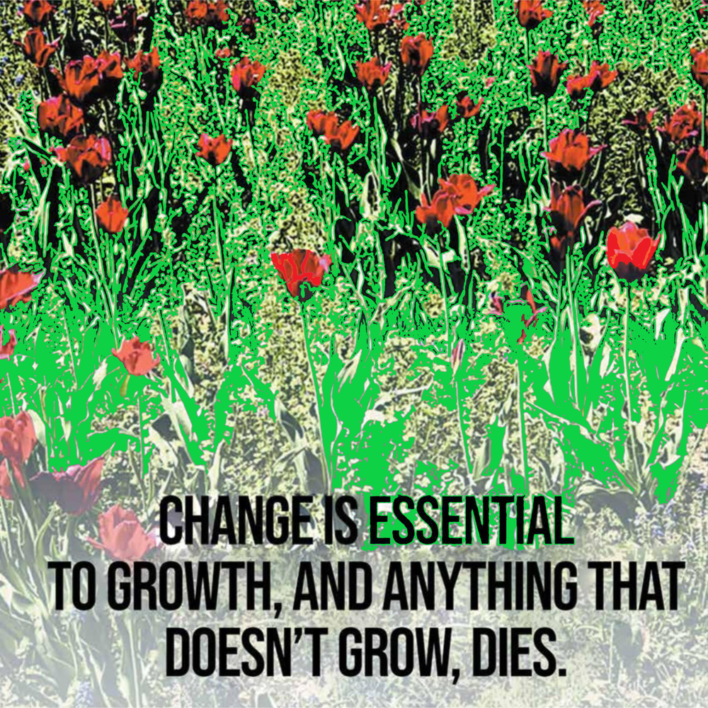 Change Is Essential Art | Stone Michaels Books & Prints, LLC