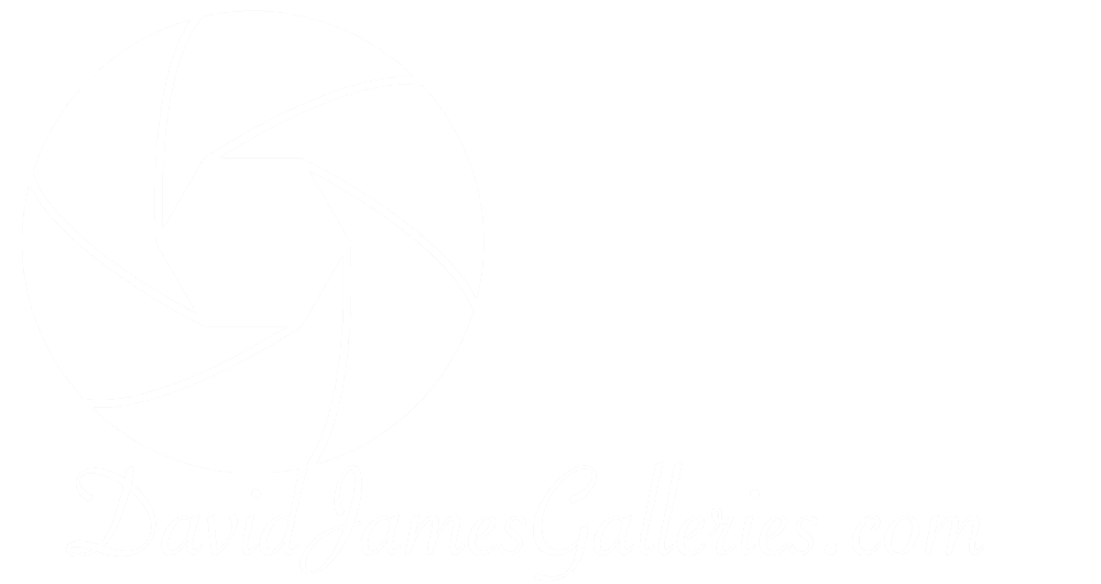 Mdawmdawmdawmdaw7qgraepd6cacehr zcfbfywxu2fyveayeunrgwctqqqltnerwweter6yomfiojy24adow ljj7f22f2vd2s3k0fn 38ezqodftc2xeuhdjufahdziomokxodj3hs jg da6ji5eudq olwagpj5emn5qiymiadt c1uidbvs 8dmejvrjoemqn1uup urosd3mmnzrttdeoj 7i6qbqwltjpg kxcpppzrvy8rvib cpqcruusfsibfycyc4fqhkk8ilx8xid3nf9wmrgz labp jbj3rgdzu uavazji4cq5djh8fspwb1xqhir7ojbvzhuois4lyzwtec6zm6u6xbev8l gaw zijp7fy sbxlwetbdhuk4xkra5tqsrr2za