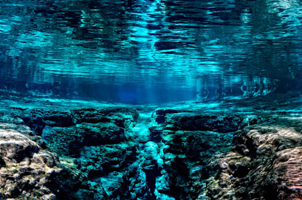 Enchanted Blue Photography Art | Zsuzsanna Luciano