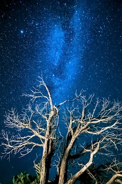 Reach For The Stars Photography Art | Zsuzsanna Luciano