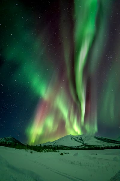 Nature's Nightlight - Northern Lights Photography

