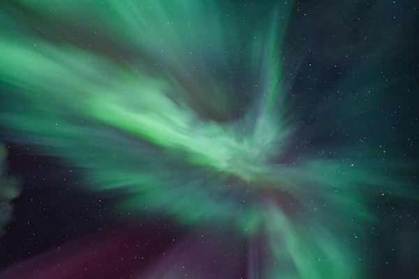 Flight Of The Phoenix P3 Photography Art | jacquelinemalak