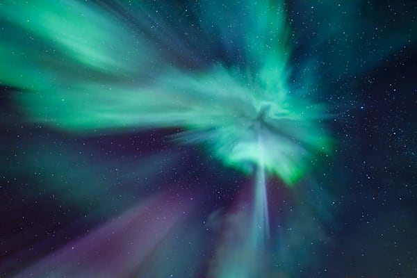 Flight Of The Phoenixp2 Photography Art | jacquelinemalak