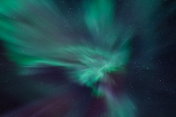 Flight Of The Phoenix Photography Art | jacquelinemalak
