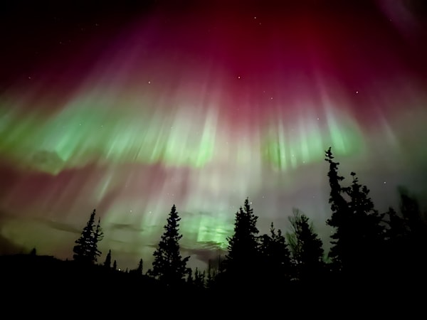Curtains Of Color V2 Photography Art | jacquelinemalak