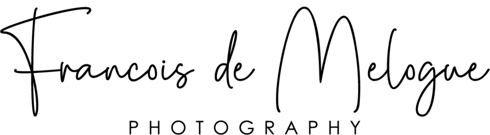 FrancoisdeMelogue