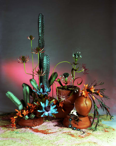 Horticulture, Flowers, etc