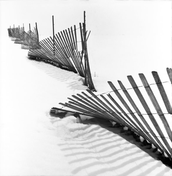 Landscapes/Seascapes/Nature