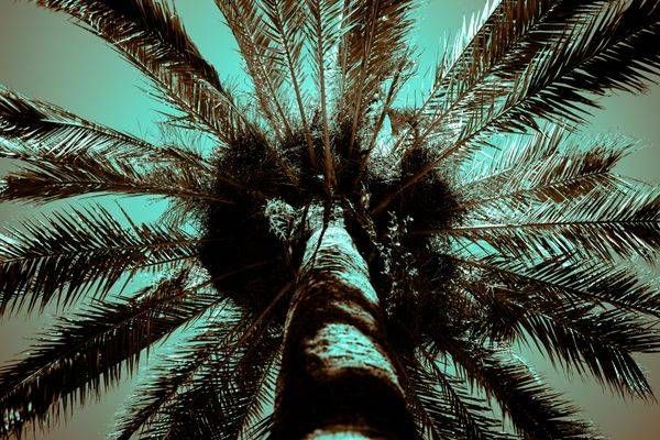 Memory In Turquoise Photography Art | Topher Cabrera Photography