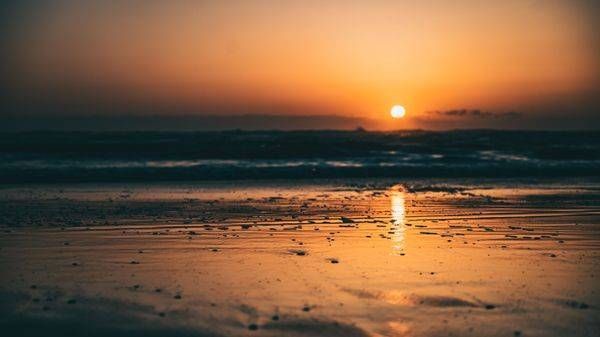 Liquid Amber Photography Art | Topher Cabrera Photography