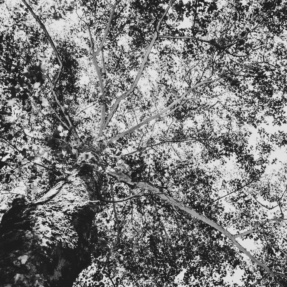 Reaching Out Photography Art | Topher Cabrera Photography