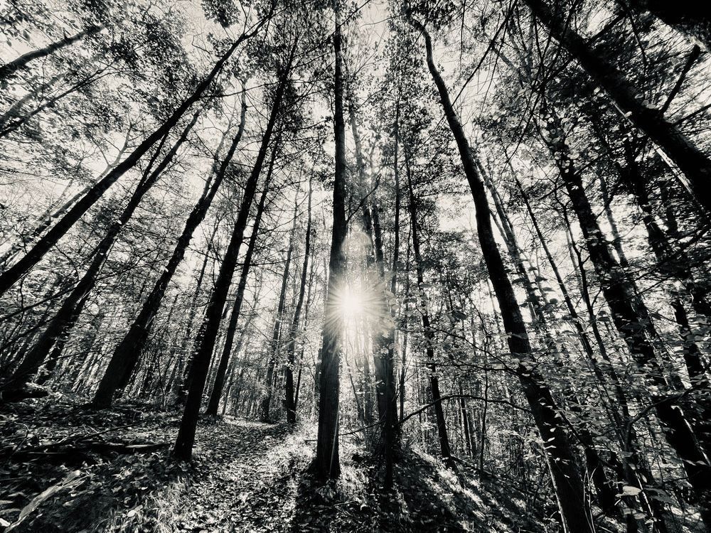 Mjr Beyond Photography Art | Topher Cabrera Photography