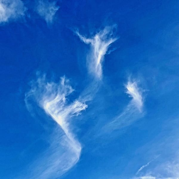 Heavenlies