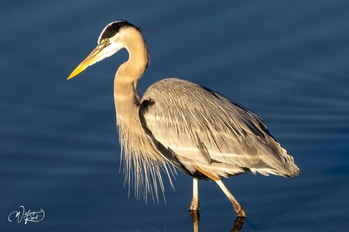 Mdawmdawmdawmdaw7qgraepd6cacehr zcfbfywxu2fyveayeunrgwctqqqltnerwweter6yomfiojy24adow ljj7f22f2vd2s3k0fn 38ezqodftc2xeuhdjufahdziomokxodj3hs jg da6ji5eudq olwagpj5emn5aegixufv0elkekkqj1cbjgs1tzuemqd1avpcvq gs3nk5zrttdeoj 7i6qbqwltjpg kxcpppzrvy8rvib cpqcruusfsibfyf4cleqhh153map0qdzsu8ginzif8ekxscqir jhjzntxouncfubjtu08