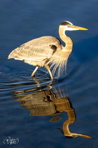 Mdawmdawmdawmdaw7qgraepd6cacehr zcfbfywxu2fyveayeunrgwctqqqltnerwweter6yomfiojy24adow ljj7f22f2vd2s3k0fn 38ezqodftc2xeuhdjufahdziomokxodj3hs jg da6ji5eudq olwagpj5emn5aegixufv0elkekkui1c3rdtzqyuemqd1avpcvquce3nk5zrttdeoj 7i6qbqwltjpg kxcpppzrvy8rvib cpqcruusfsibfyf4cleqhh153map0qdzsu8ginzif8ekxscqjfn9eqpu50u0iu vjfutsb