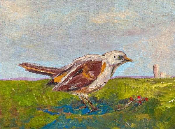Bird In A Field Art | William Reed Artist