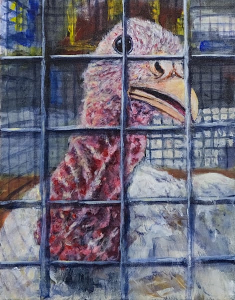 Caged Bird Art | William Reed Artist