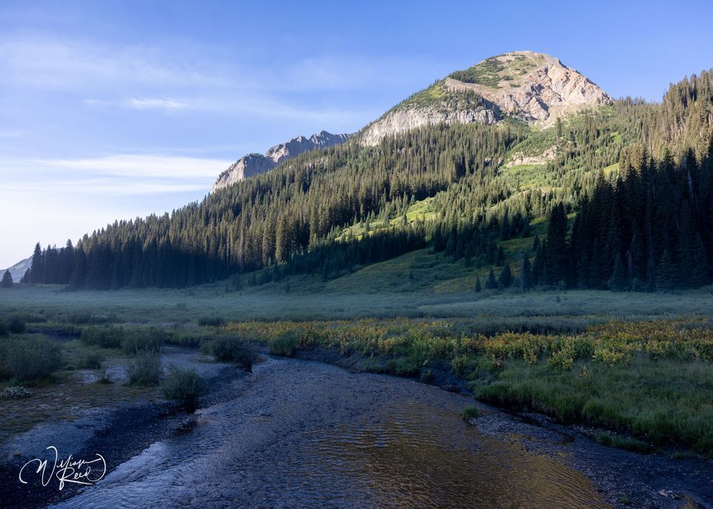 Colorado Landscape 33 Art | William Reed Artist