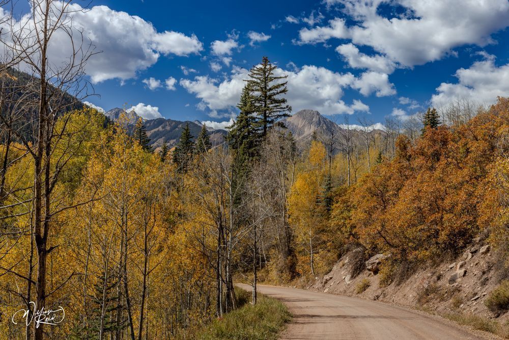 Aspen Fall 22 Art | William Reed Artist