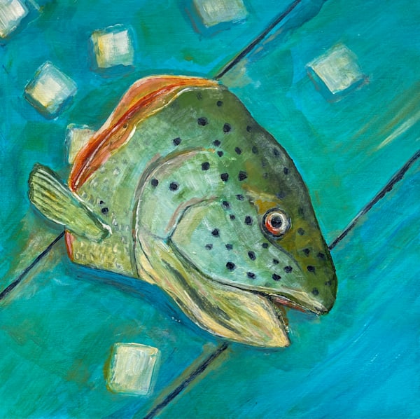 Fish Head On Blue Table With Ice Art | William Reed Artist