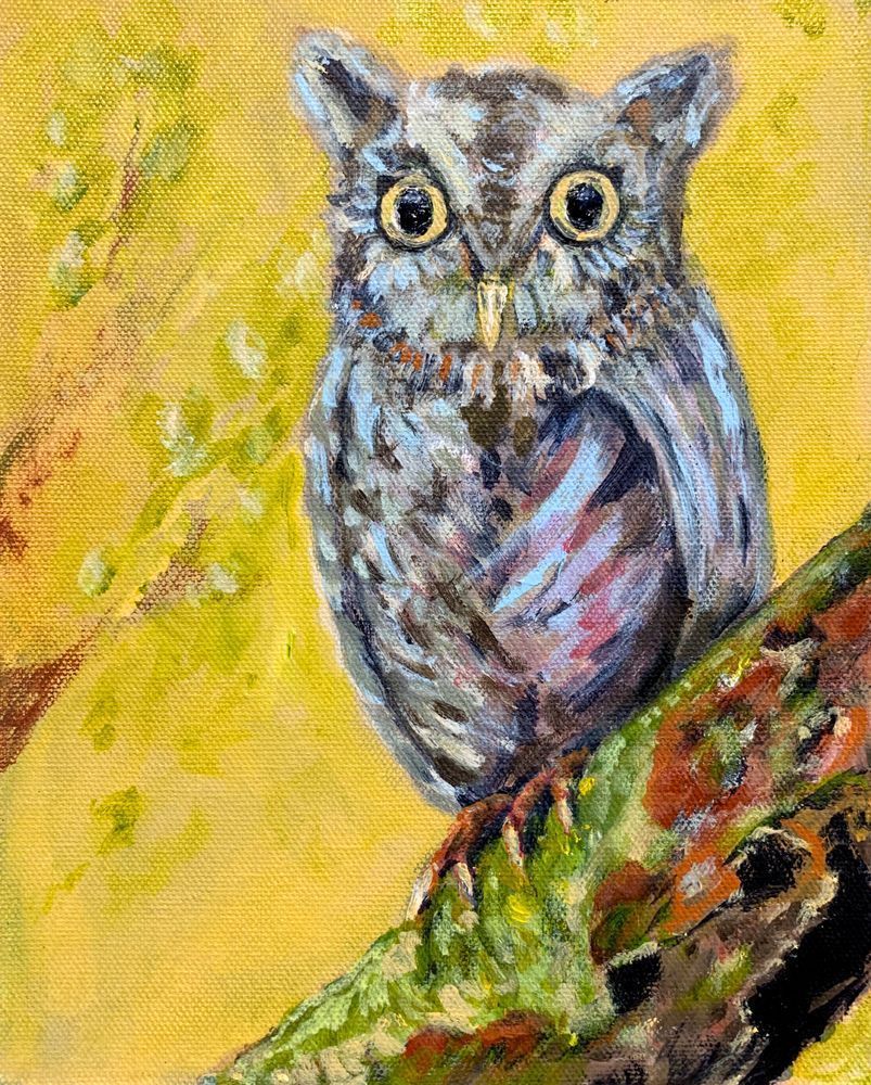 Owl Art | William Reed Artist