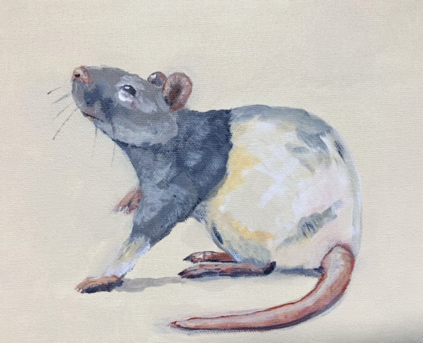 Raton Art | William Reed Artist