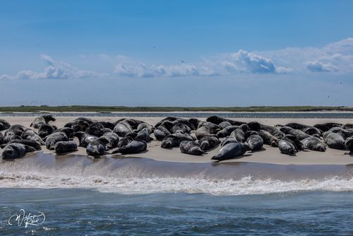 Mdawmdawmdawmdaw7qgraepd6cacehr zcfbfywxu2fyveayeunrgwctqqqltnerwweter6yomfiojy24adow ljj7f22f2vd2s3k0fn 38ezqodftc2xeuhdjufahdziomokxodj3hs jg da6ji5eudq olwagpj5emn5xcxyefz6pp1mfzrqf yqjqhm3jpcvq9tus63ue 0g0mc7ypcmsfej97e9trqsi3ebseb9yko8tkxasaxkcrxnqyqlvcvpzpukndh5rla519cqvtlud3nipcyys8ctbfigv kckmc43fmgaq3l