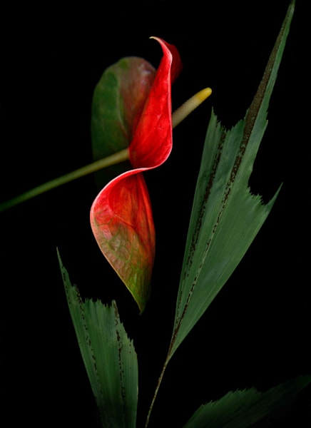 20201204-untitled-009