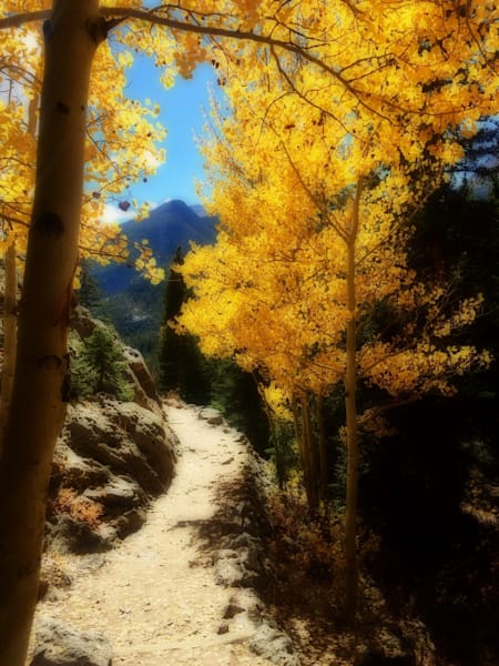 RMNP Path