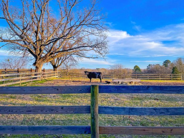 Texas