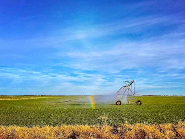 End of the Rainbow