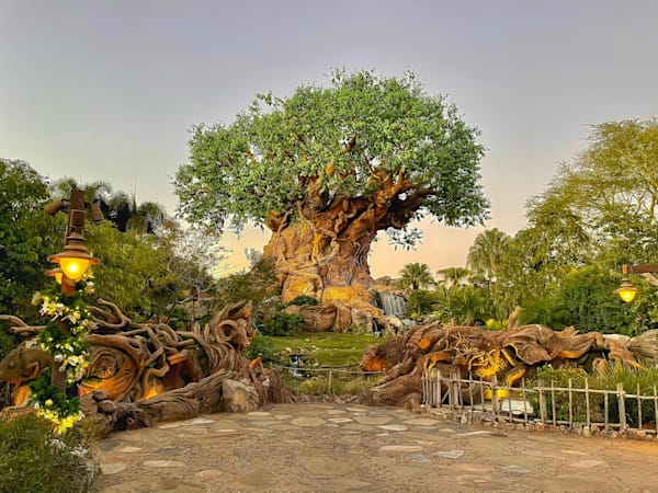 Tree of Life (Disney's Animal Kingdom)