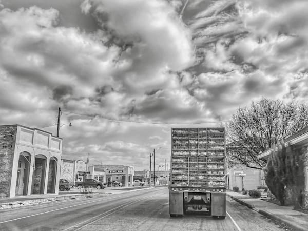 Chicken Truck
