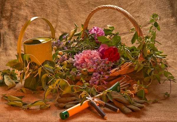 Flower Basket