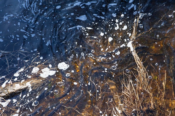 Fish Ladder