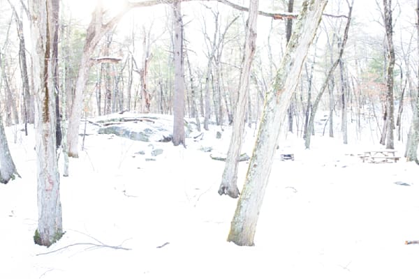 Lincoln Woods Winter