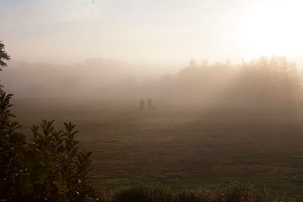 Meeting In The Mist